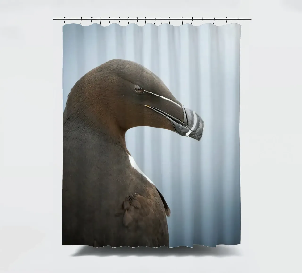 Razorbill shower curtain by Tom's Wildlife