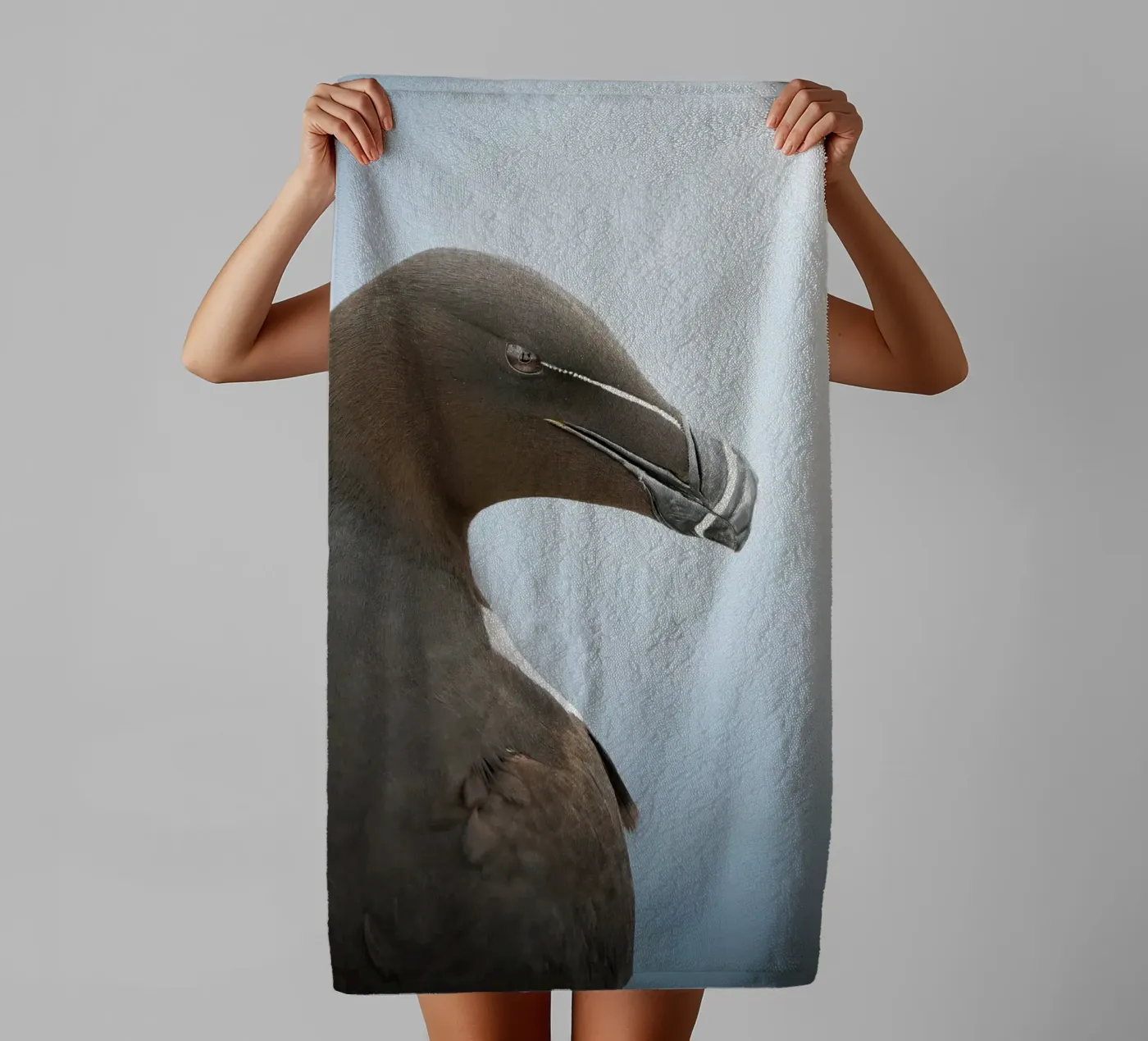 Razorbill towel by Tom's Wildlife