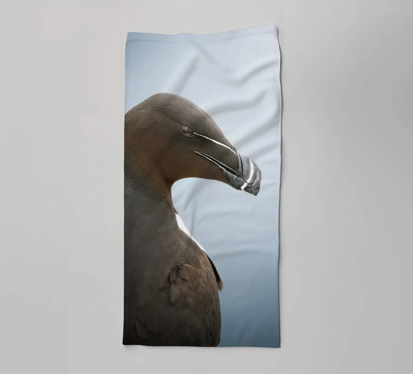 Razorbill towel by Tom's Wildlife