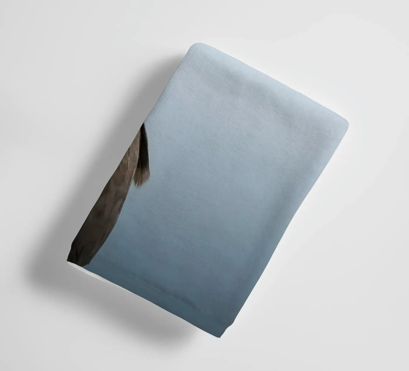 Razorbill towel by Tom's Wildlife