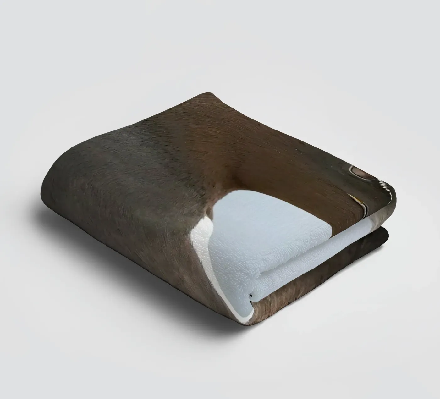 Razorbill towel by Tom's Wildlife