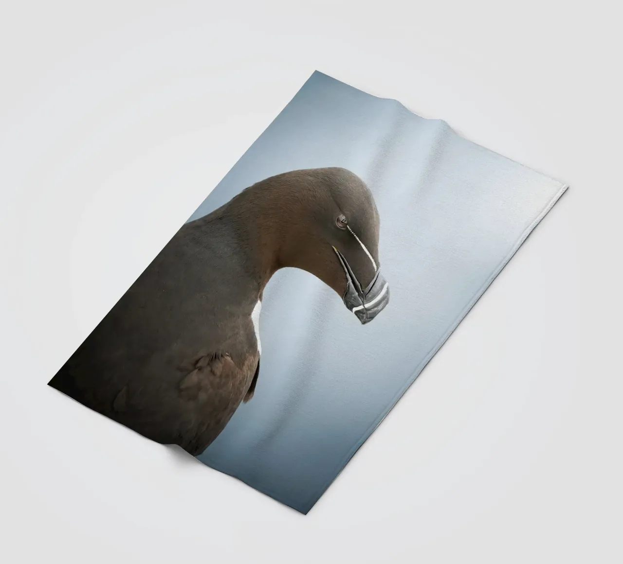 Alk fleecedeken van Tom's Wildlife