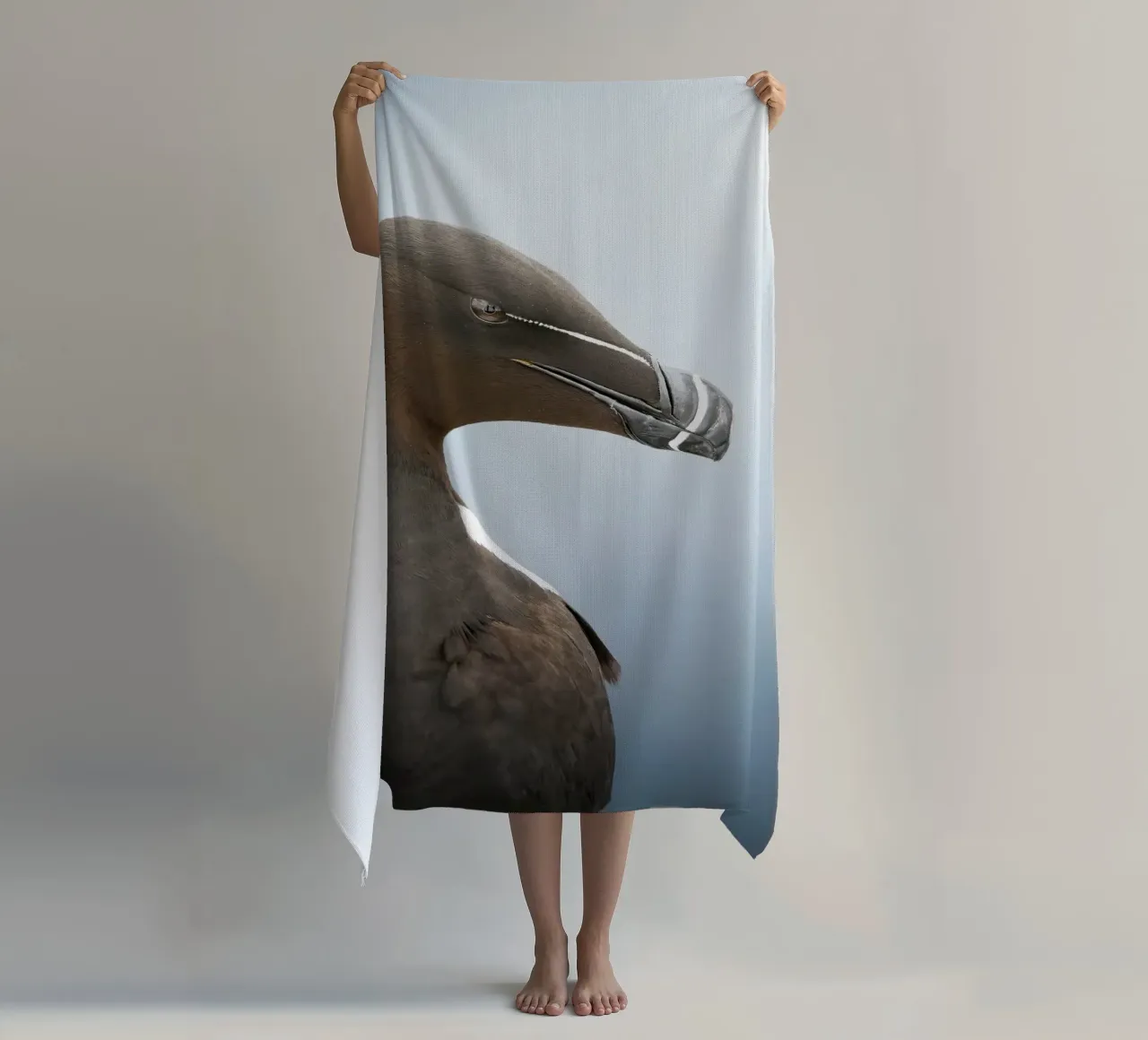 Razorbill telo mare da Tom's Wildlife