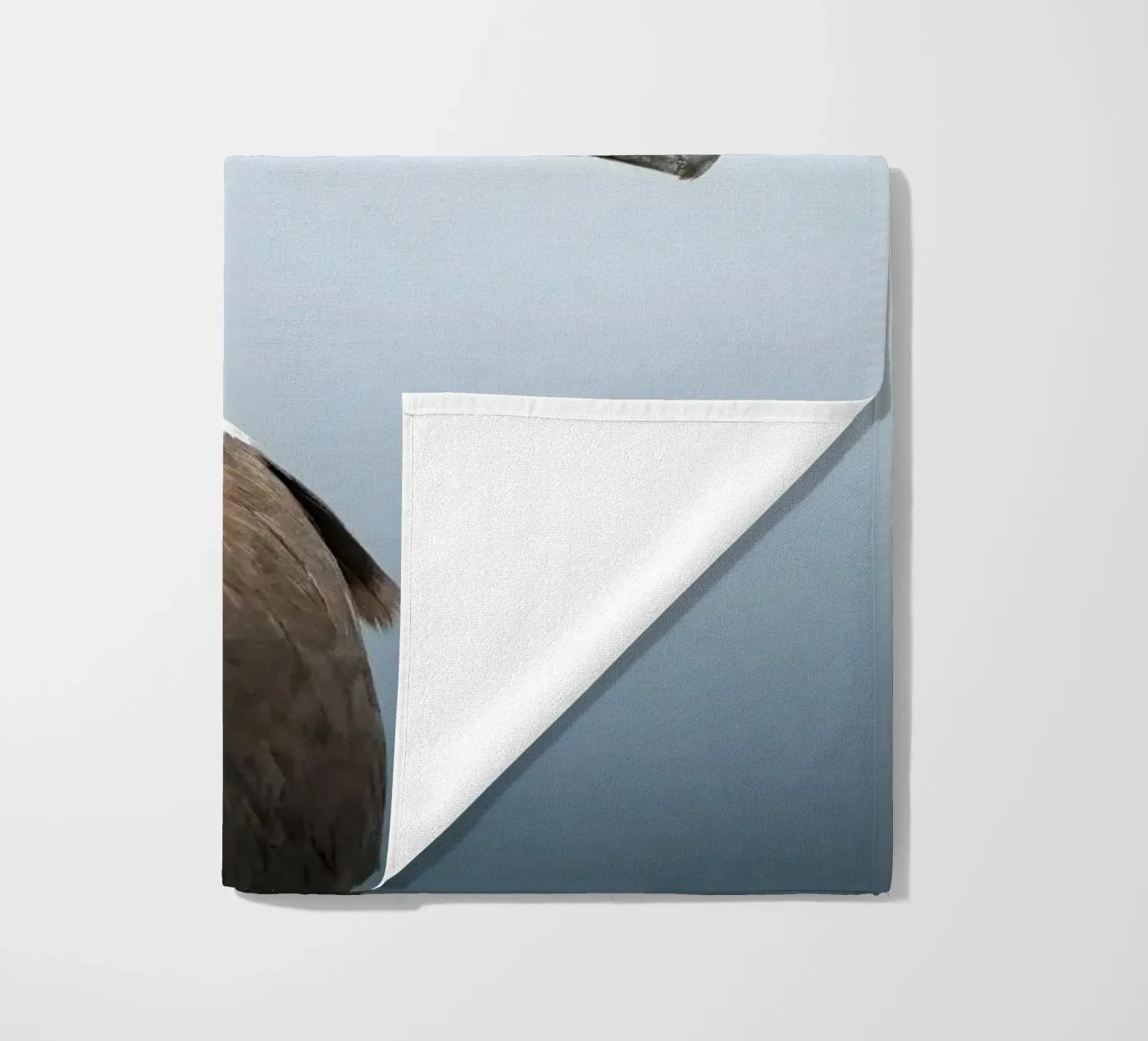 Tordalk Strandtuch von Tom's Wildlife