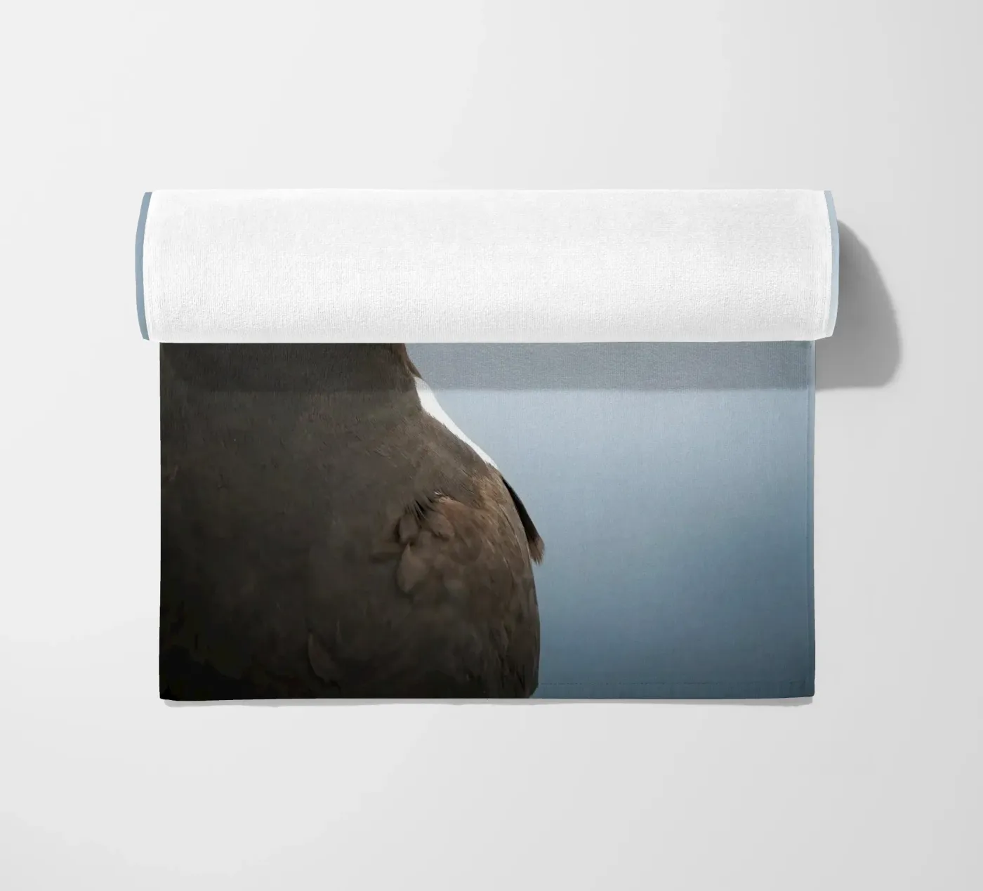 Tordalk Strandtuch von Tom's Wildlife