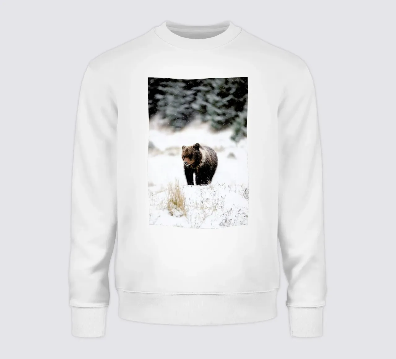 Bear Cub felpa da EyeEm Mobile GmbH
