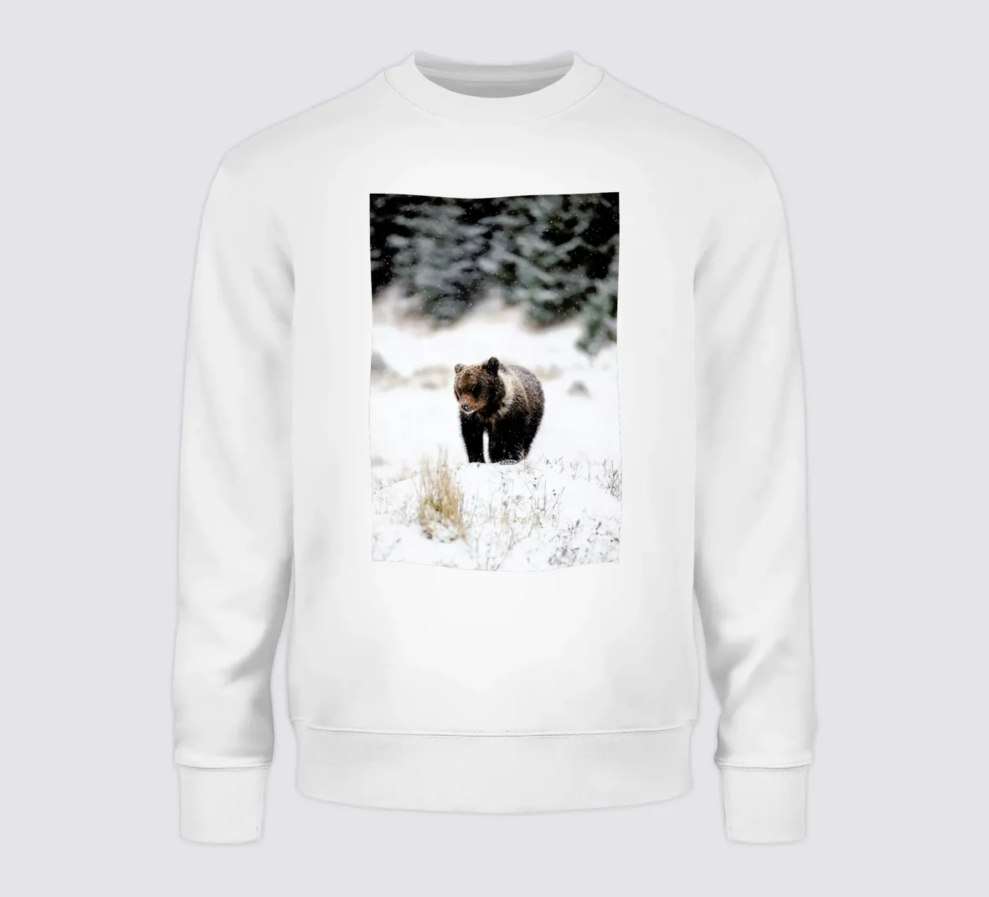 Bear Cub felpa da EyeEm Mobile GmbH