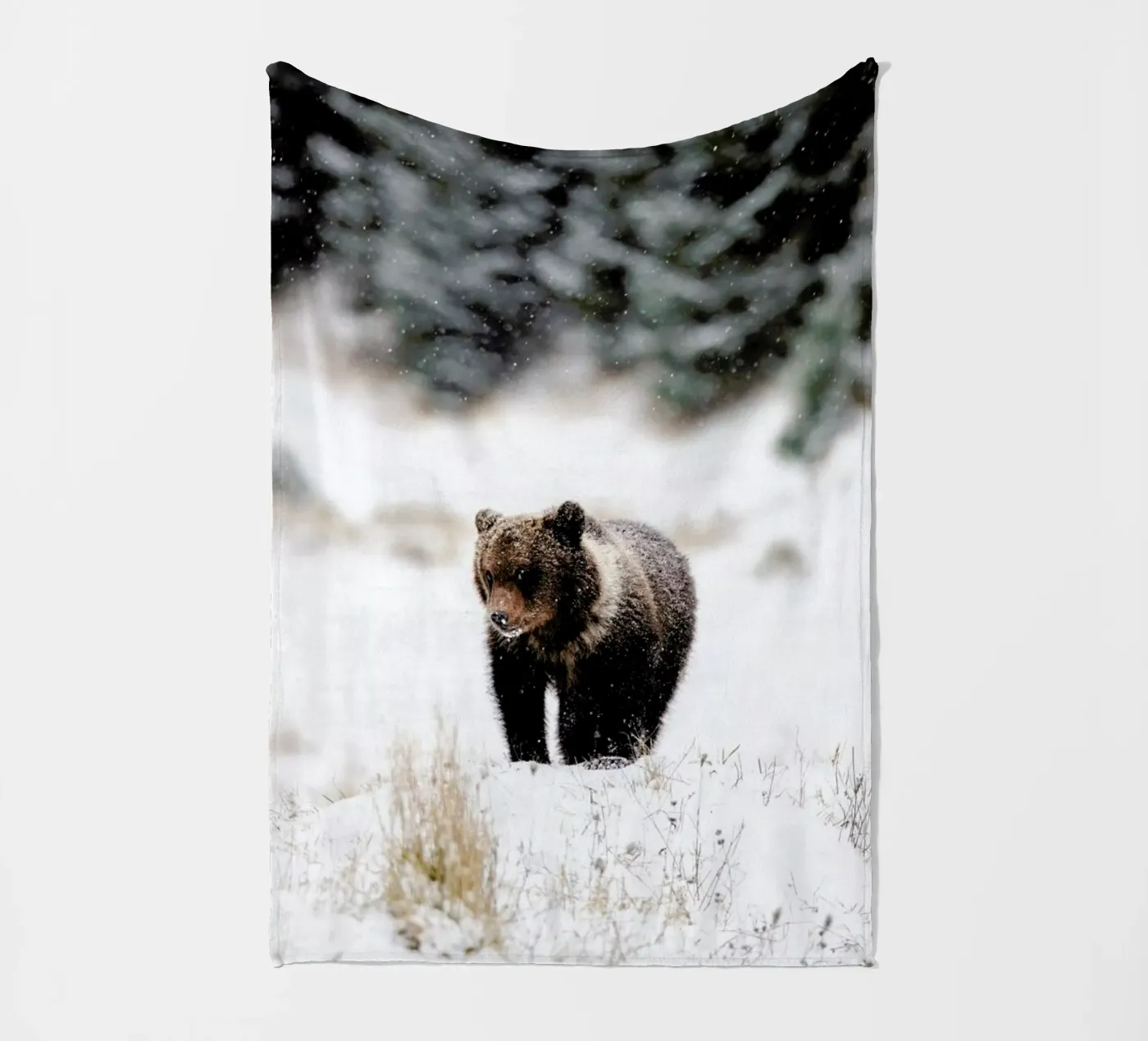 Bear Cub coperta in pile da EyeEm Mobile GmbH