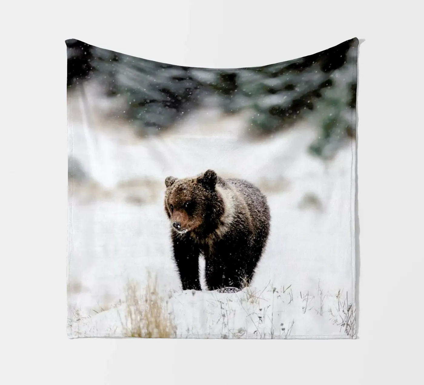 Bear Cub coperta in pile da EyeEm Mobile GmbH