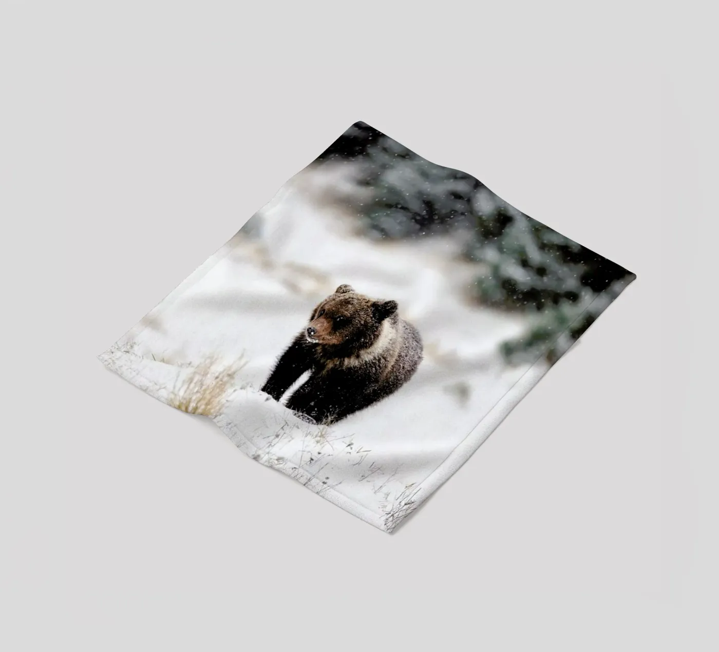 Bear Cub coperta in pile da EyeEm Mobile GmbH