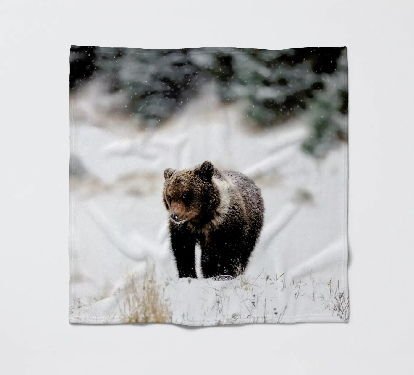 Bear Cub coperta in pile da EyeEm Mobile GmbH