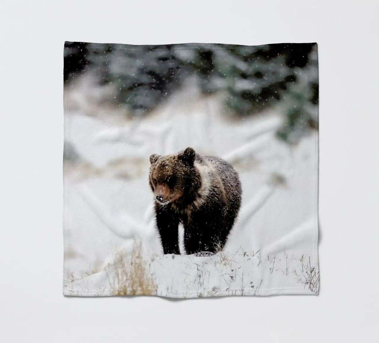 Bear Cub Fleecedecke von EyeEm Mobile GmbH