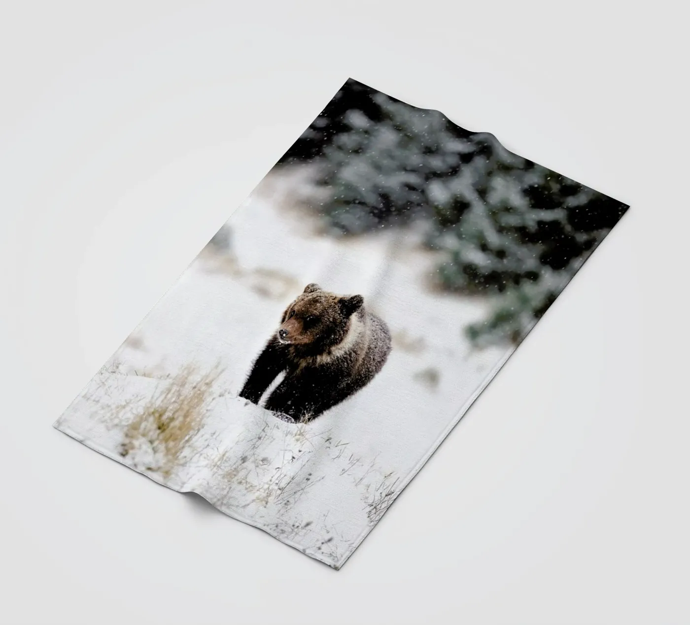 Bear Cub coperta in pile da EyeEm Mobile GmbH