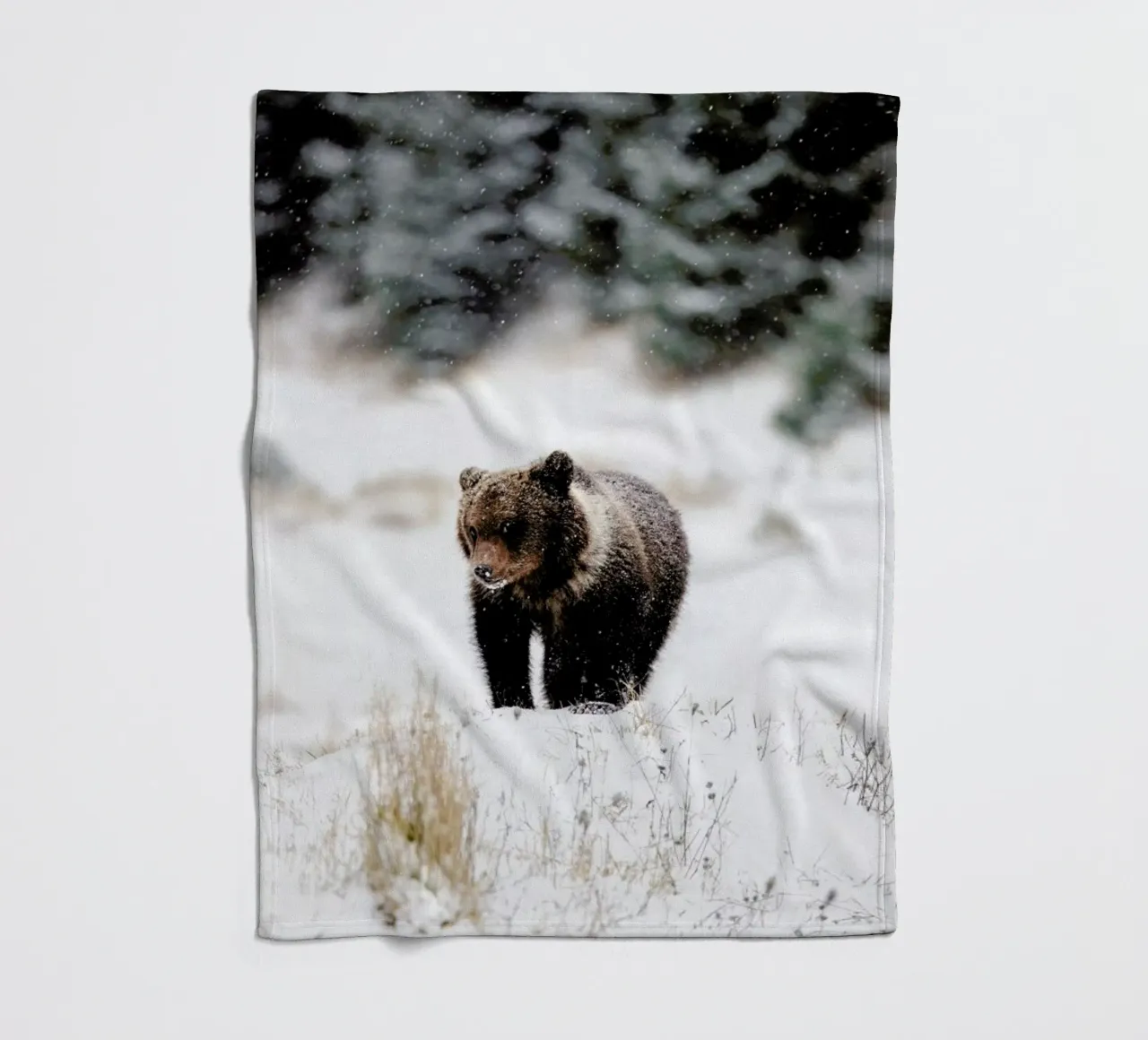 Bear Cub coperta in pile da EyeEm Mobile GmbH