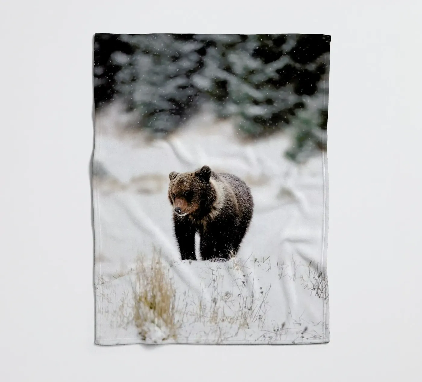 Bear Cub coperta in pile da EyeEm Mobile GmbH