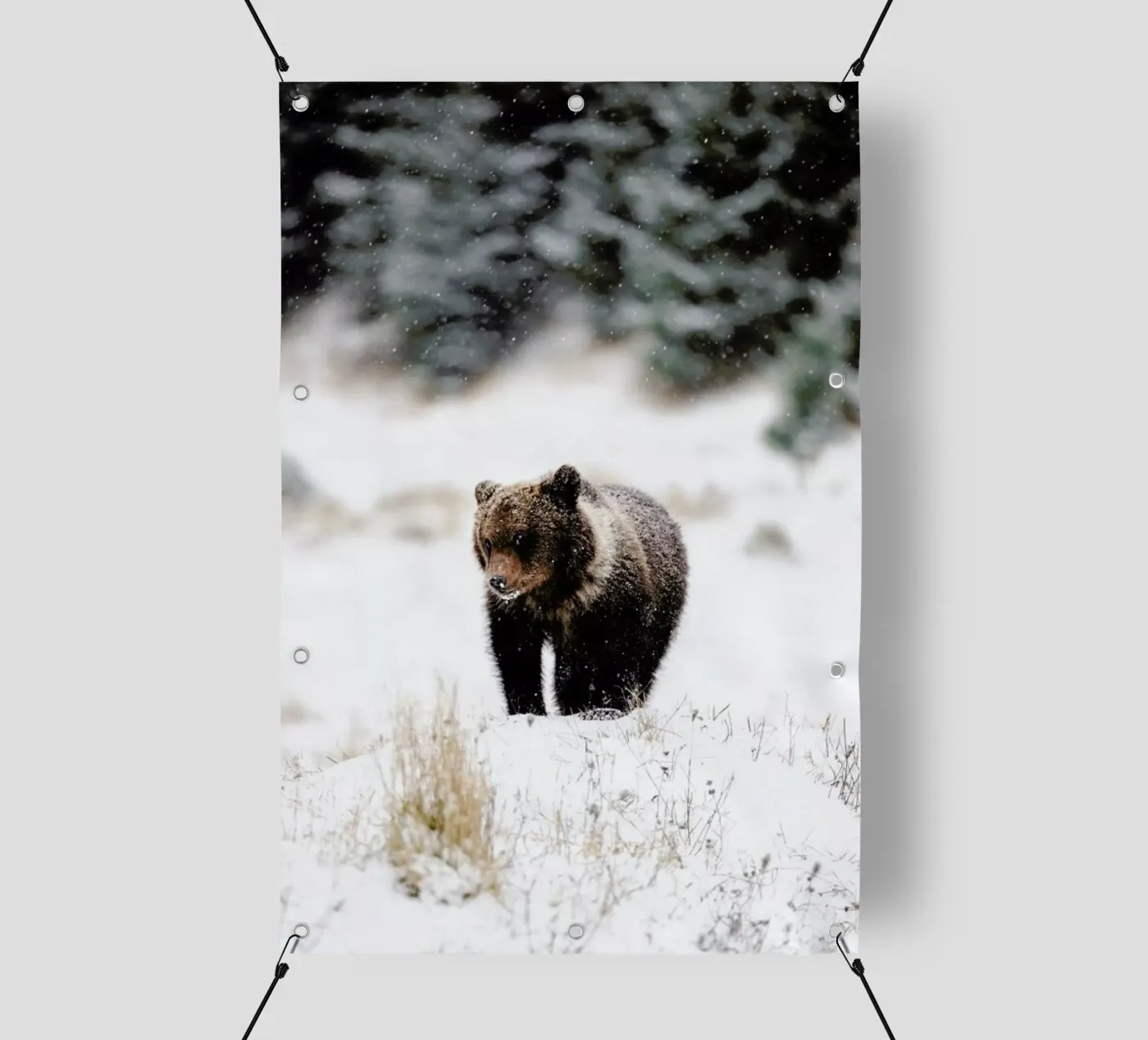 Bear Cub telo in pvc da EyeEm Mobile GmbH