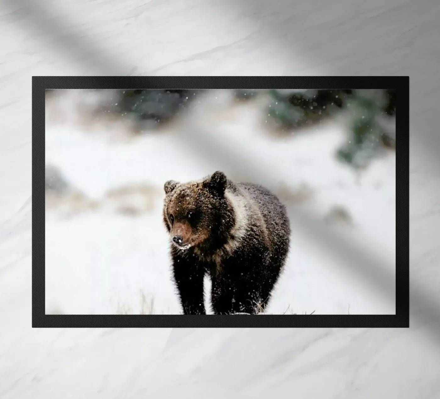 Bear Cub doormat by EyeEm Mobile GmbH