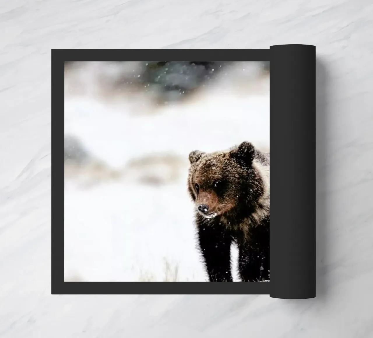 Bear Cub zerbino da EyeEm Mobile GmbH