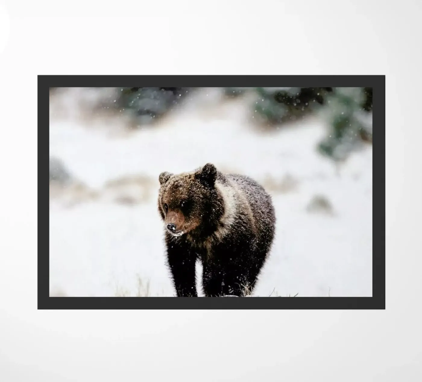 Bear Cub doormat by EyeEm Mobile GmbH