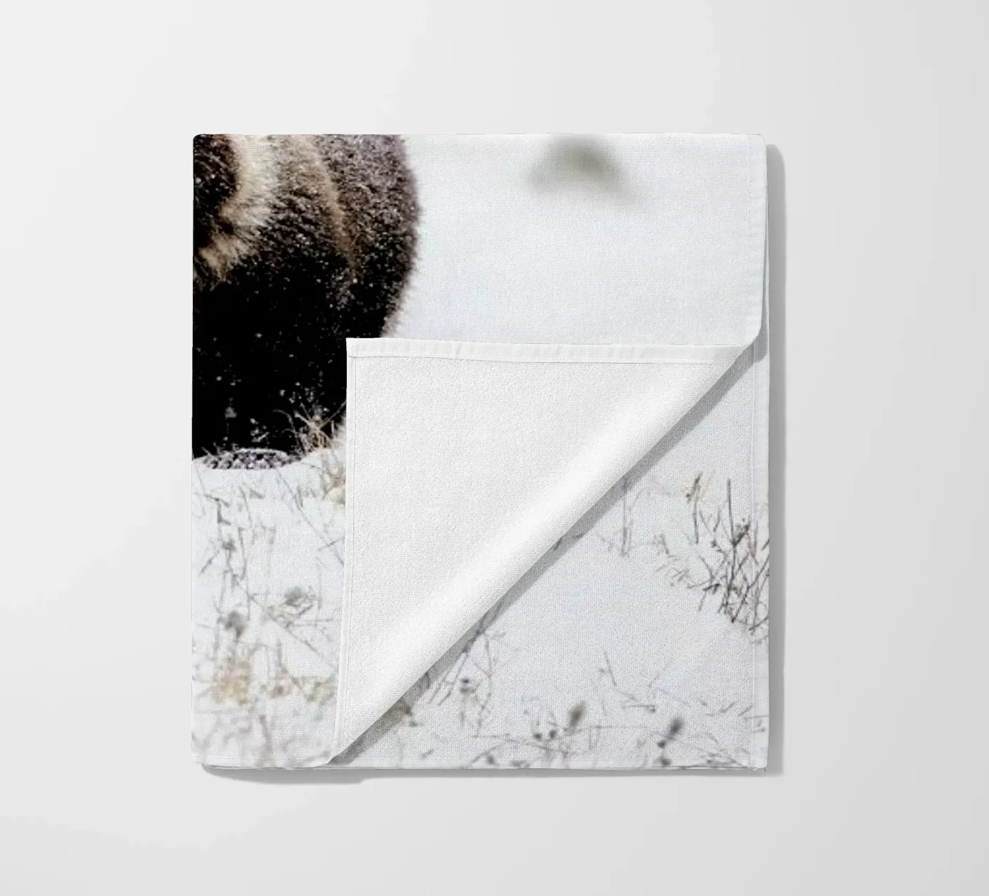 Bear Cub telo mare da EyeEm Mobile GmbH