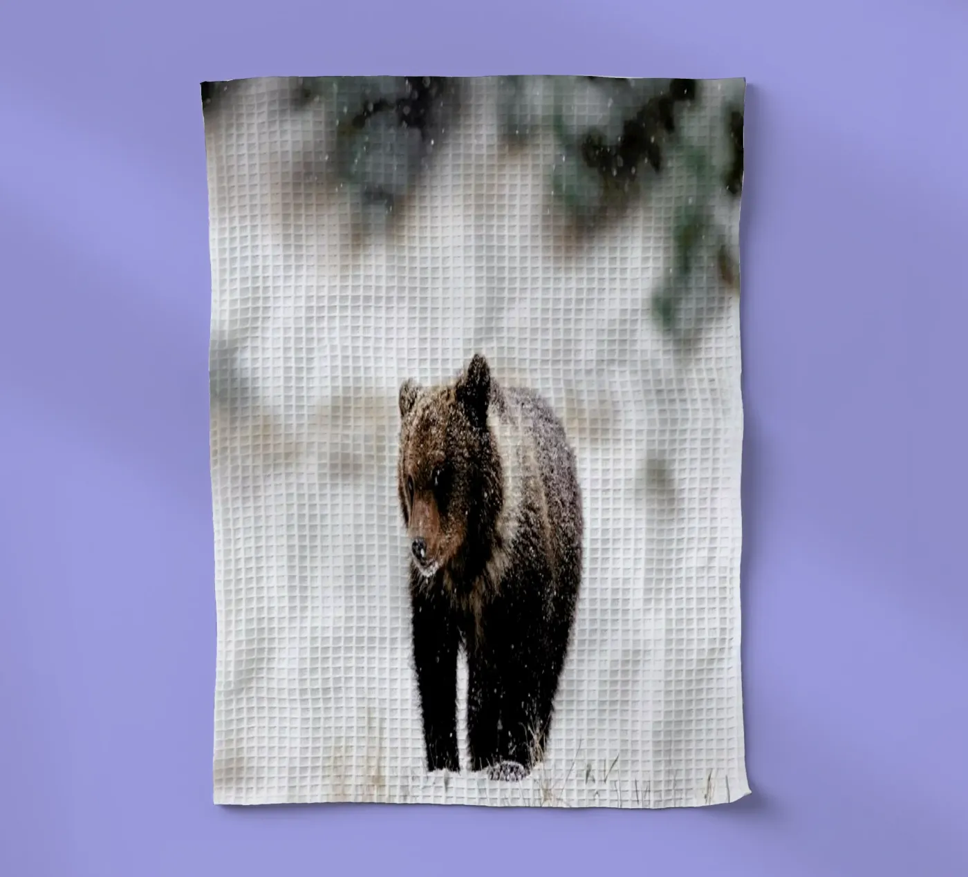 Bear Cub torchon de EyeEm Mobile GmbH