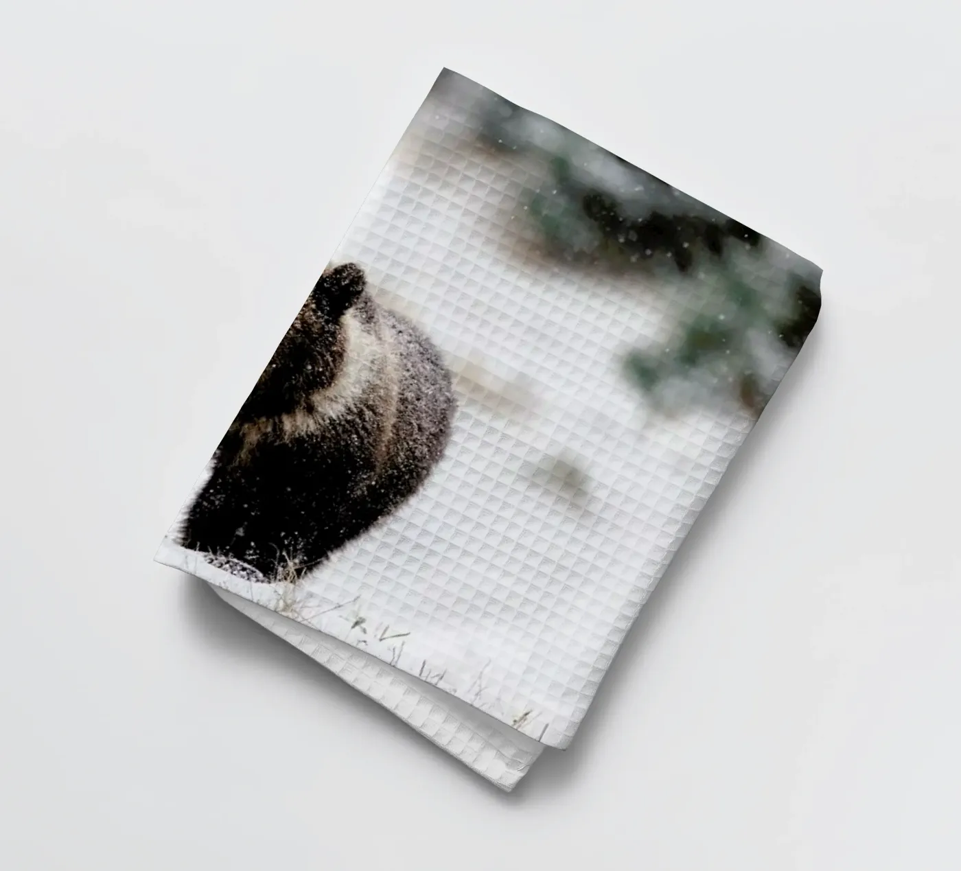 Bear Cub torchon de EyeEm Mobile GmbH