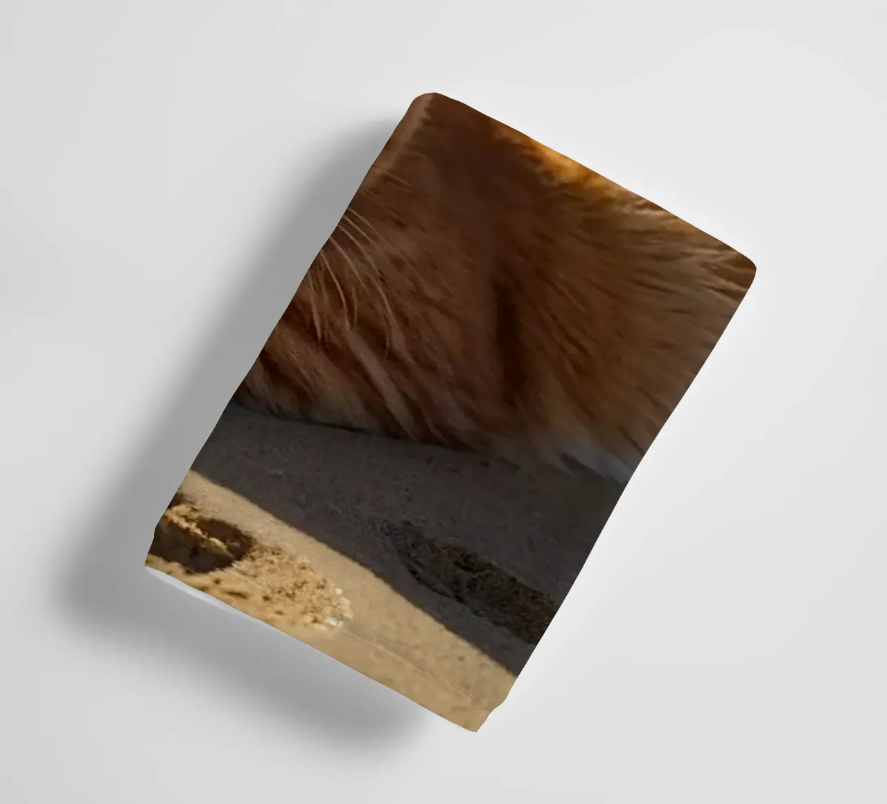 Gatto arancione che si sdraia su una spiaggia assolata con un ombrello asciugamano da bagno da DesignDoodle