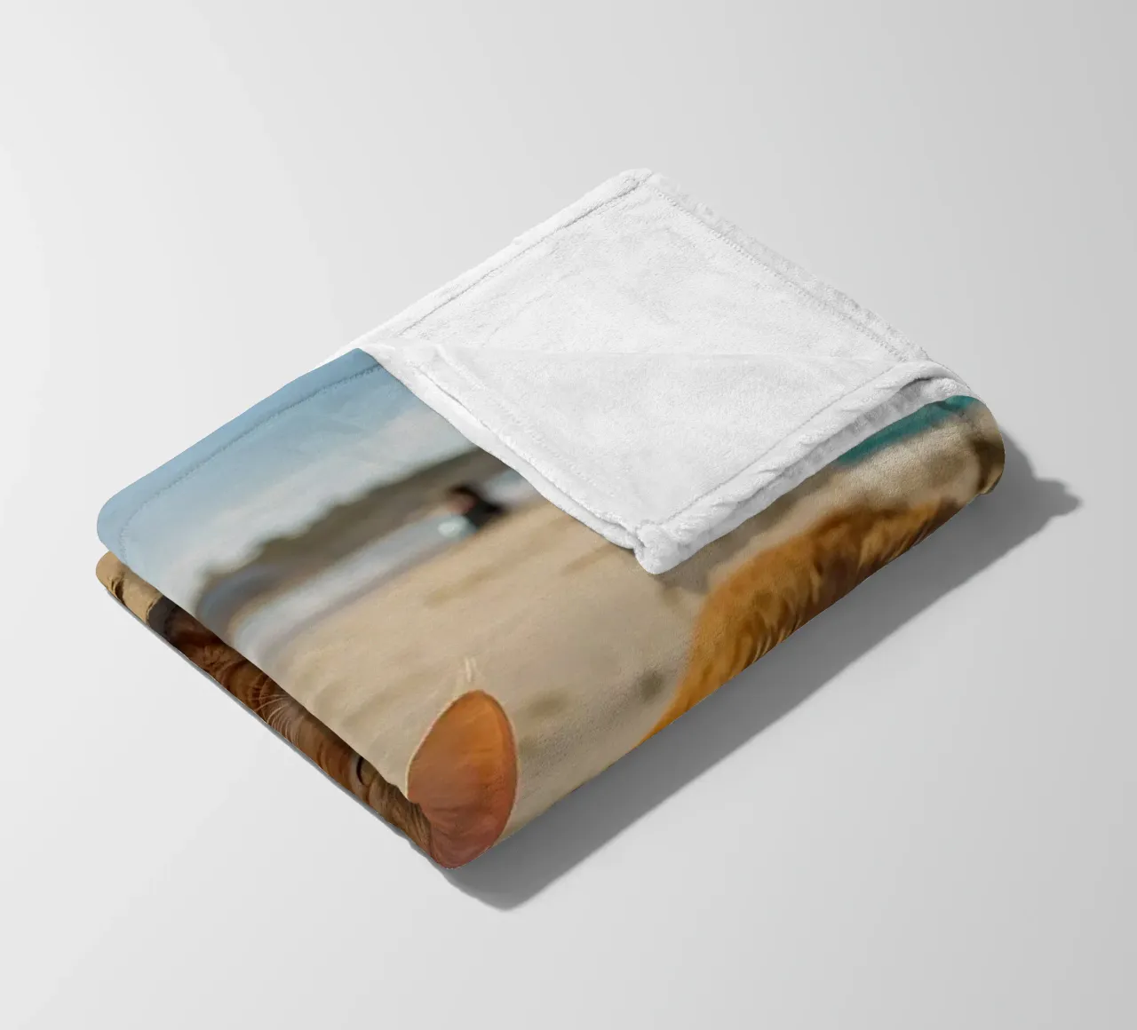 Gatto arancione che si sdraia su una spiaggia assolata con un ombrello coperta in pile da DesignDoodle