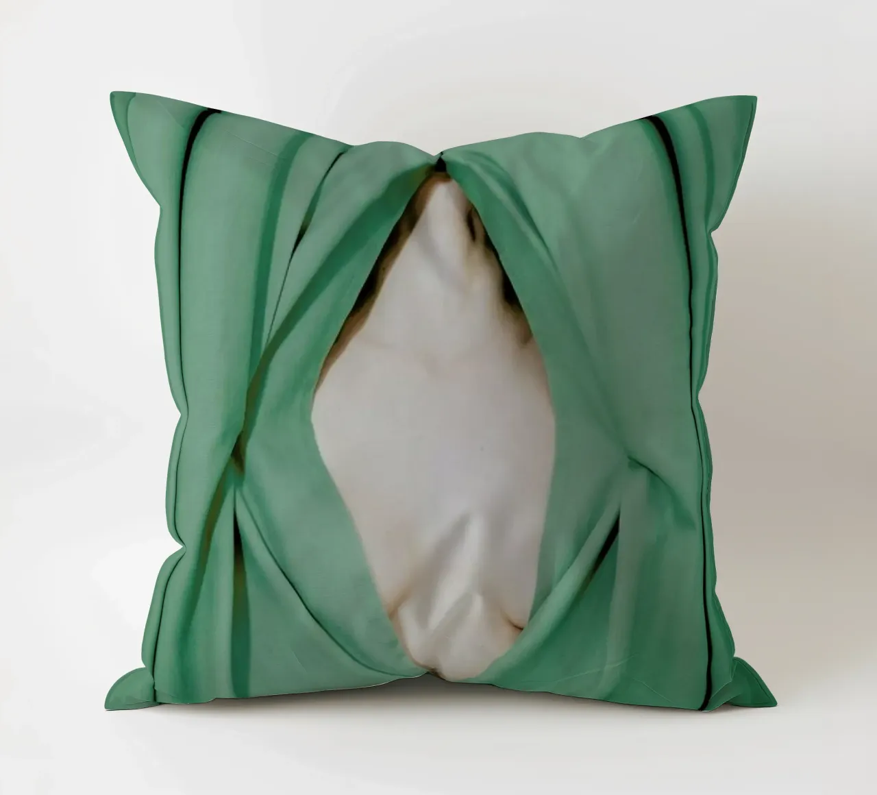 Bathed in Light Behind the Curtain cuscino da EyeEm Mobile GmbH