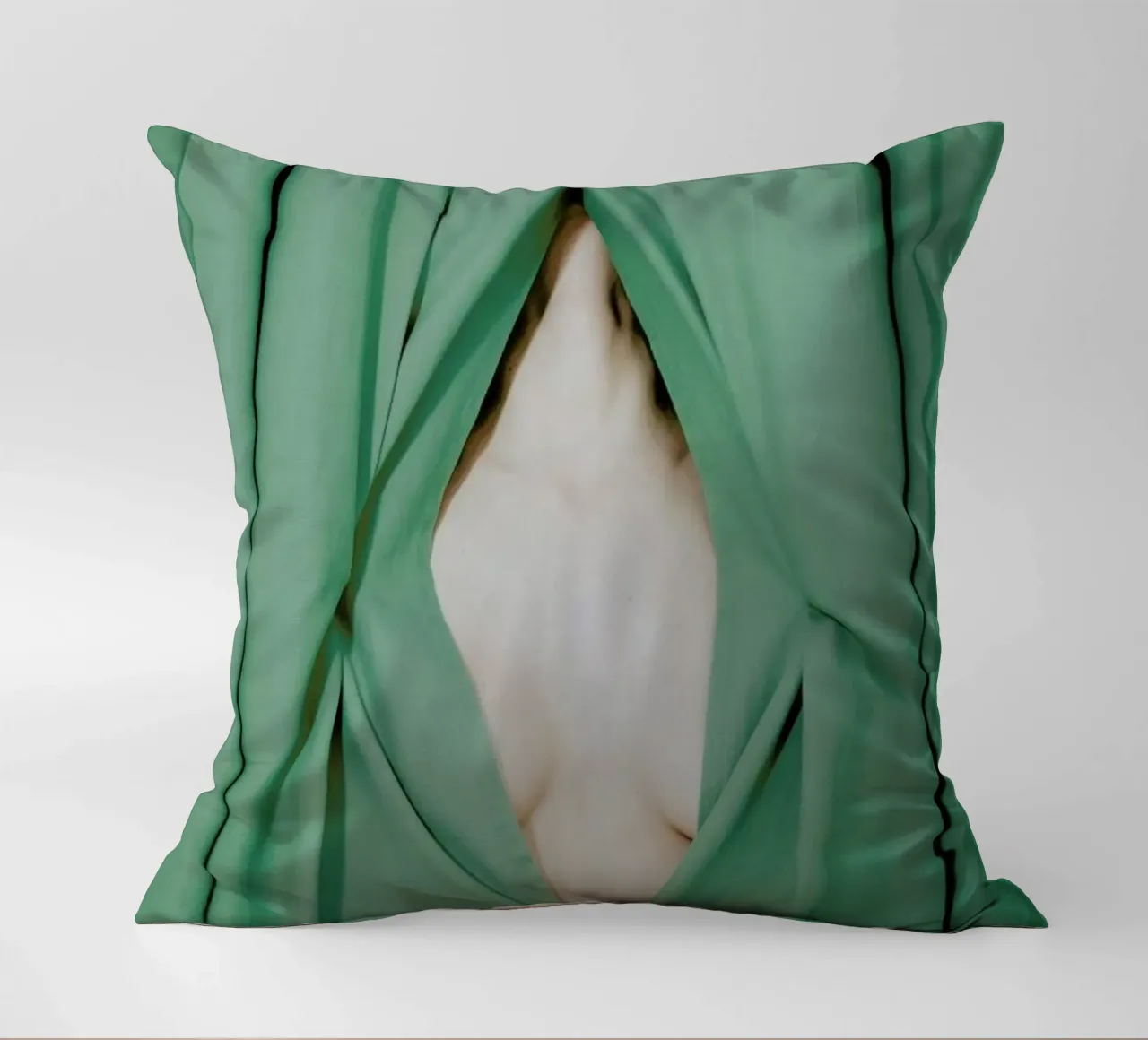 Bathed in Light Behind the Curtain cuscino da EyeEm Mobile GmbH