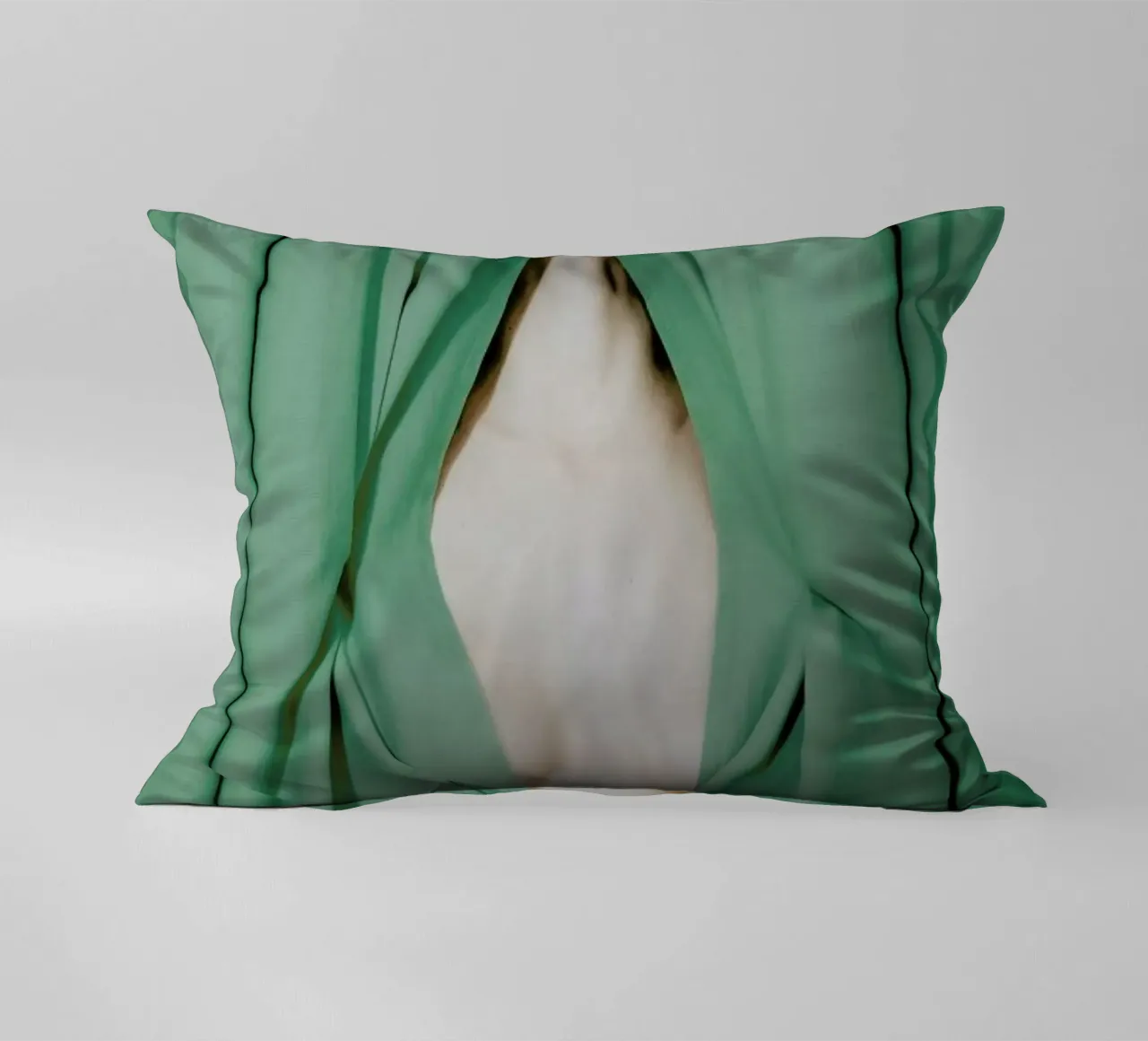 Bathed in Light Behind the Curtain cuscino da EyeEm Mobile GmbH