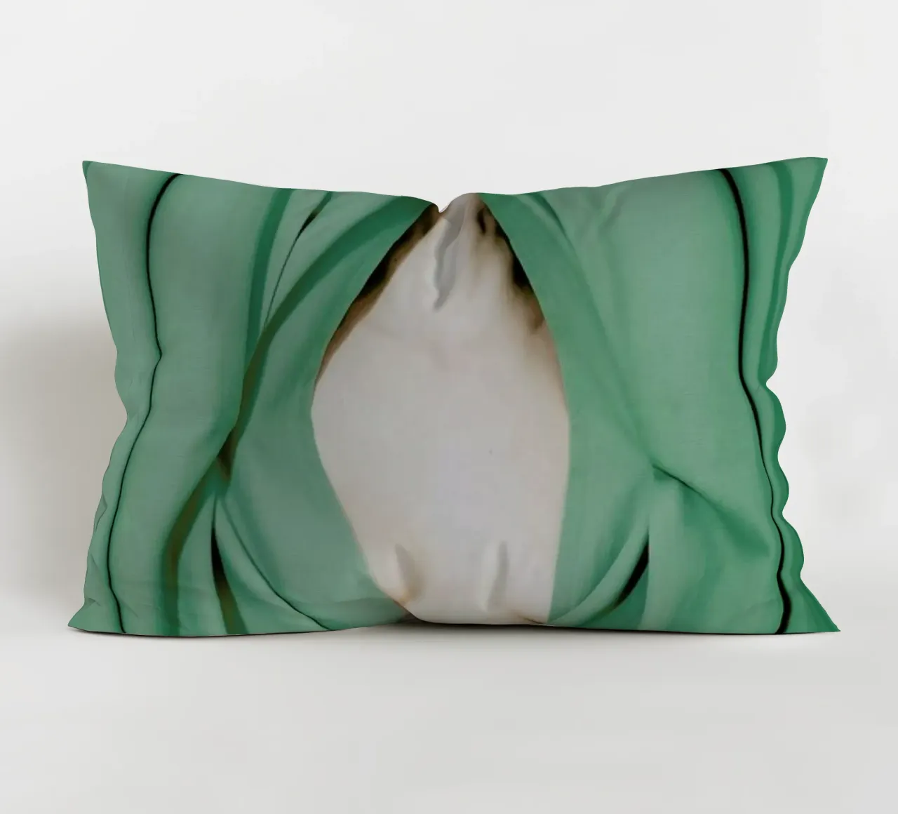 Bathed in Light Behind the Curtain cuscino da EyeEm Mobile GmbH