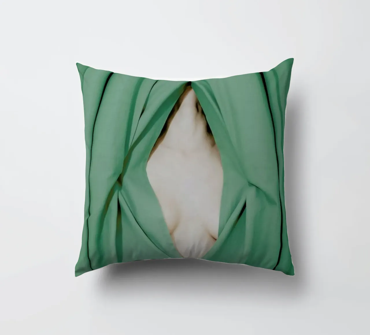 Bathed in Light Behind the Curtain cuscino da EyeEm Mobile GmbH