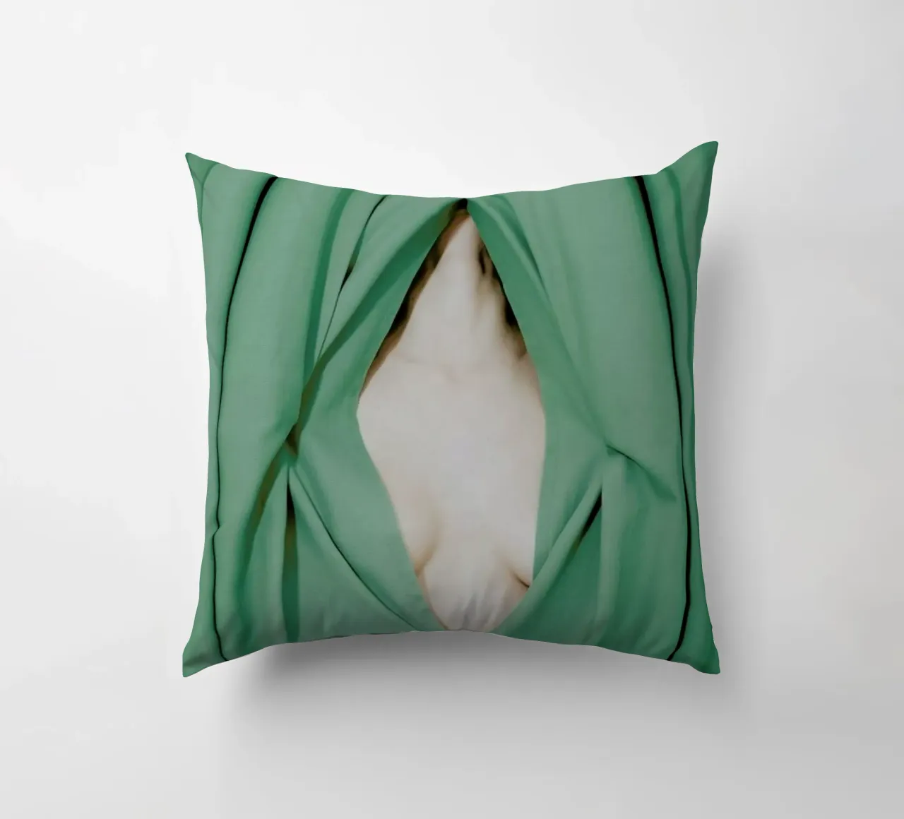 Bathed in Light Behind the Curtain cuscino da EyeEm Mobile GmbH