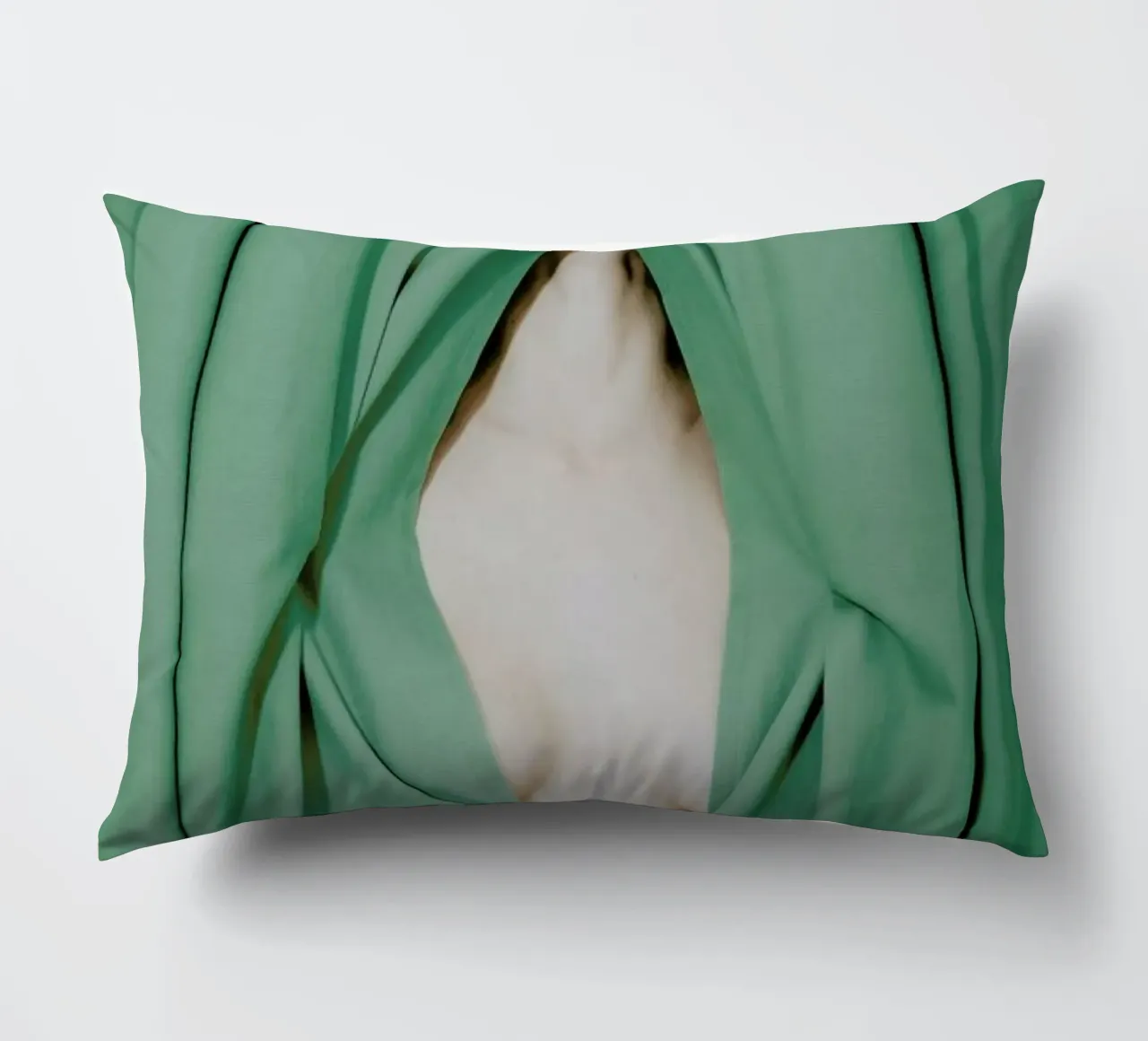 Bathed in Light Behind the Curtain cuscino da EyeEm Mobile GmbH