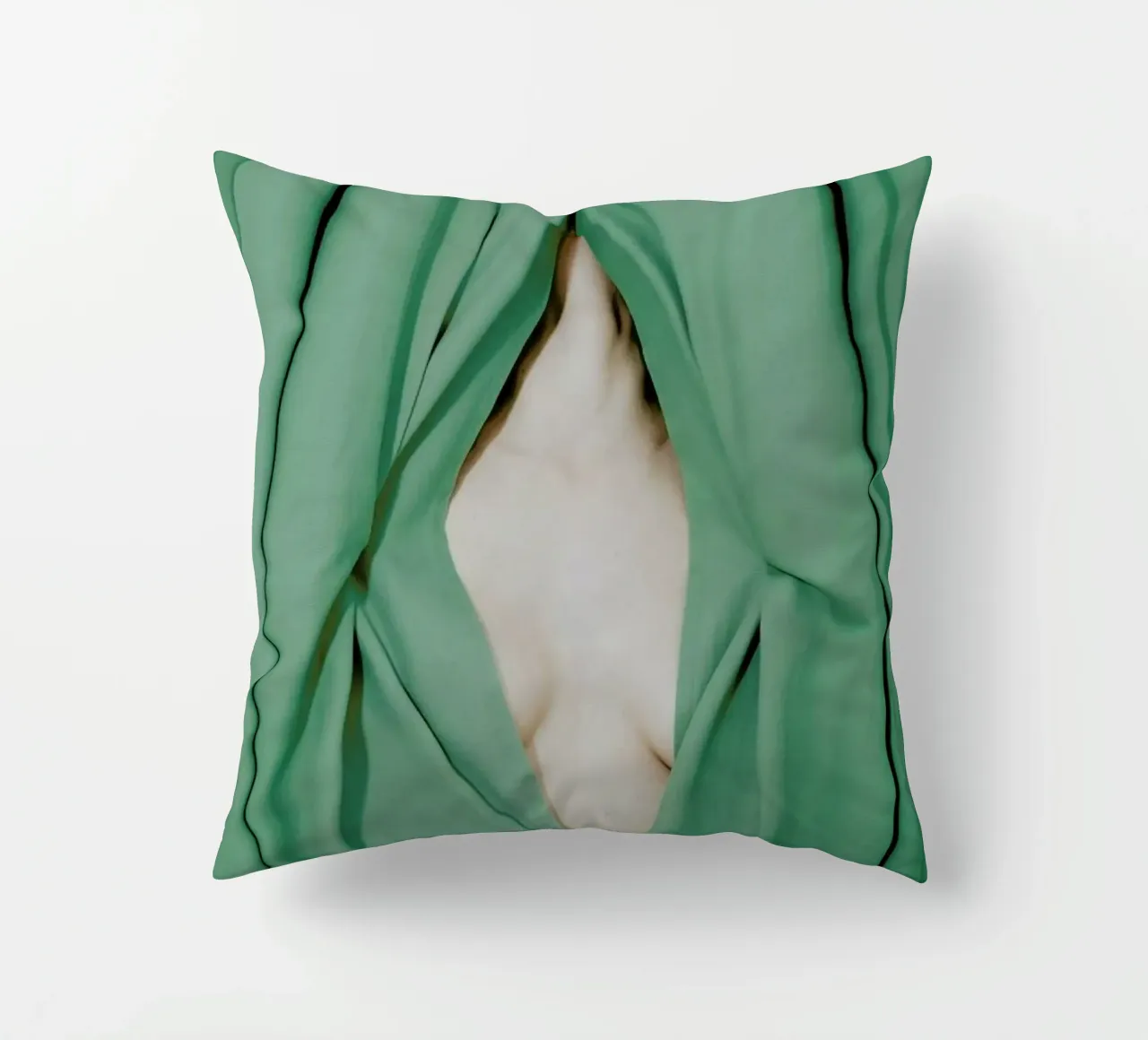 Bathed in Light Behind the Curtain cuscino da EyeEm Mobile GmbH