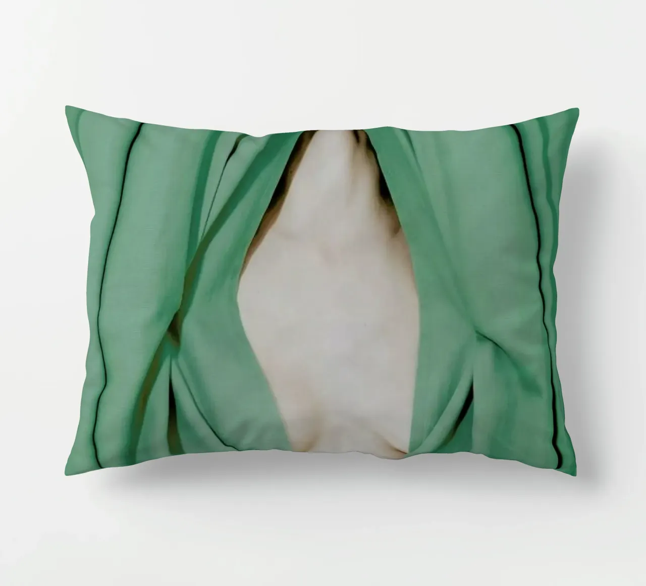 Bathed in Light Behind the Curtain cuscino da EyeEm Mobile GmbH