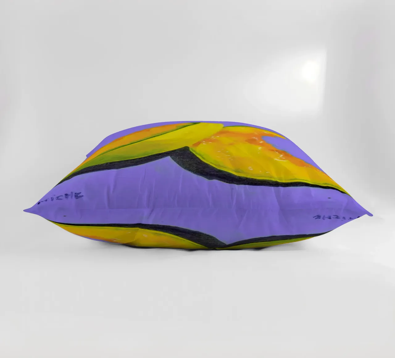 Melon Slices decorative cushion by Miche Watkins