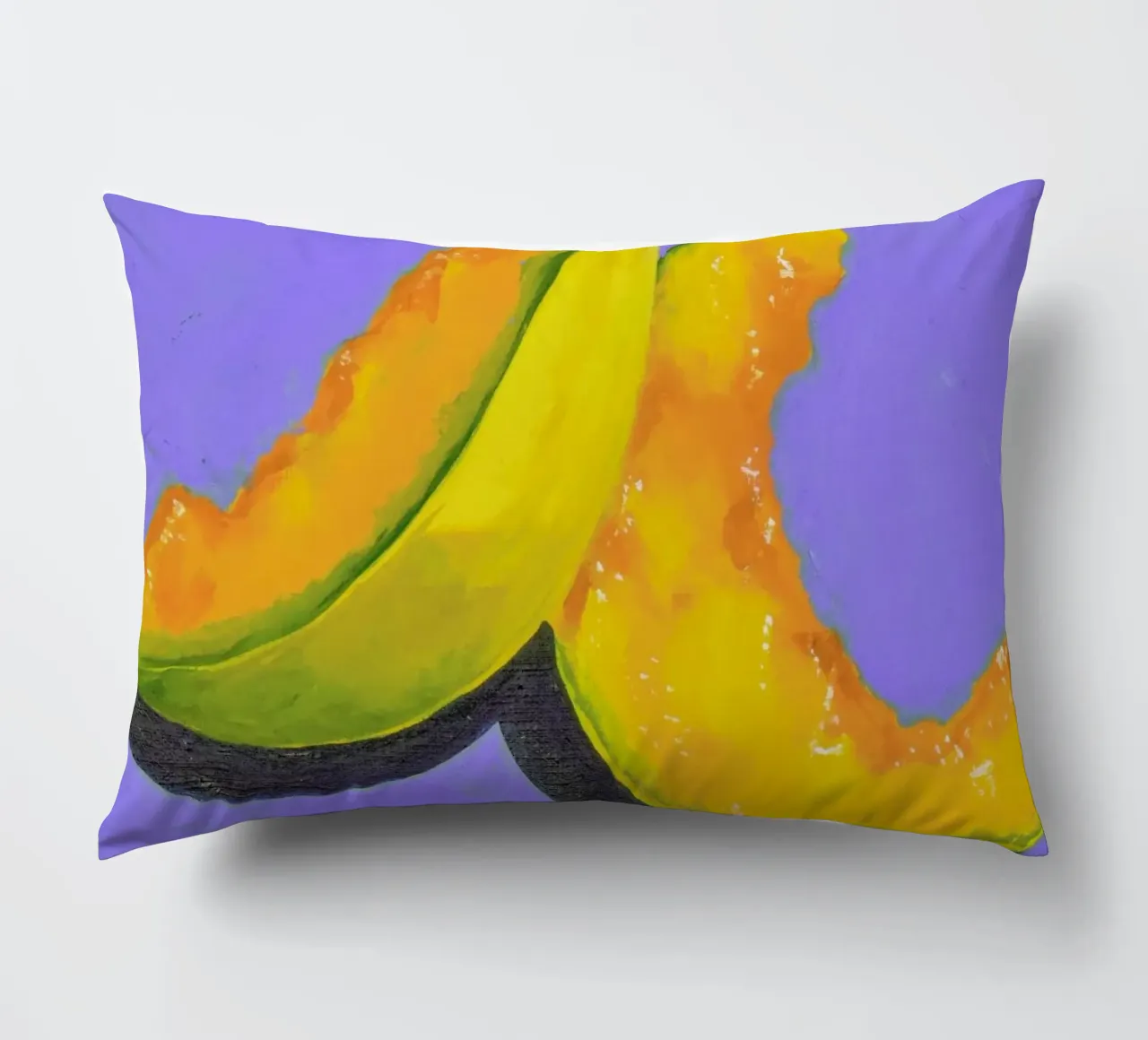 Melon Slices decorative cushion by Miche Watkins