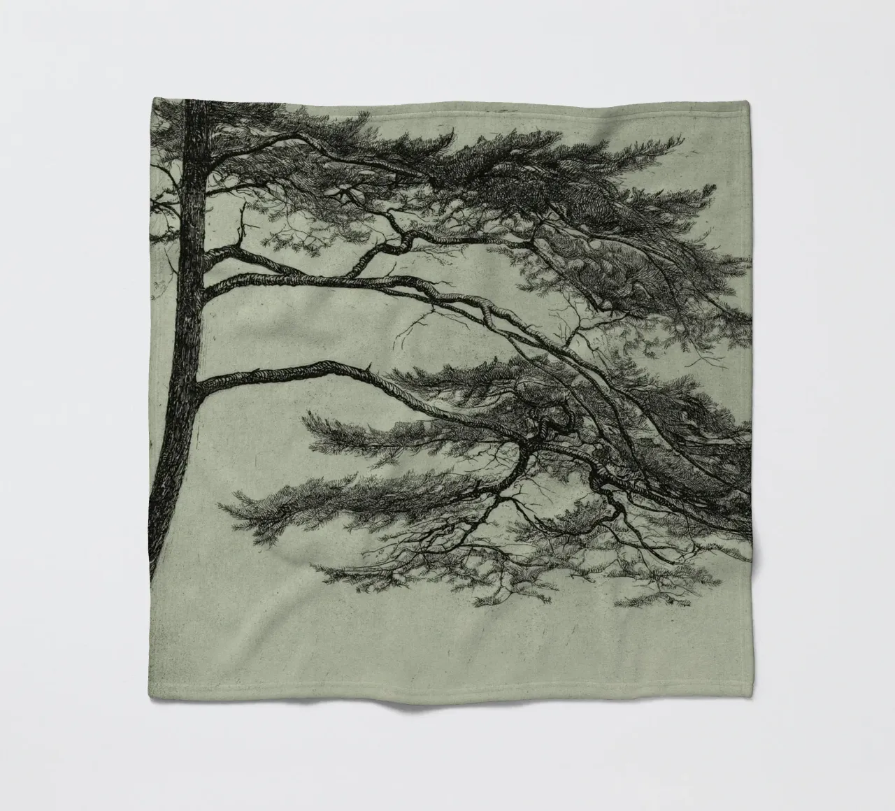 Sage Green Pine Tree Branch coperta in pile da apoloprints