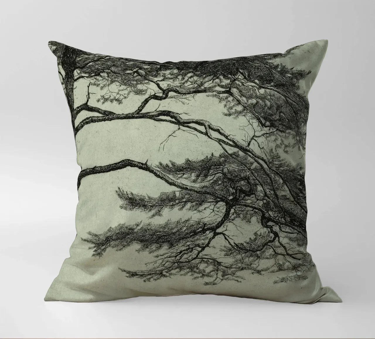 Sage Green Pine Tree Branch cuscino da apoloprints