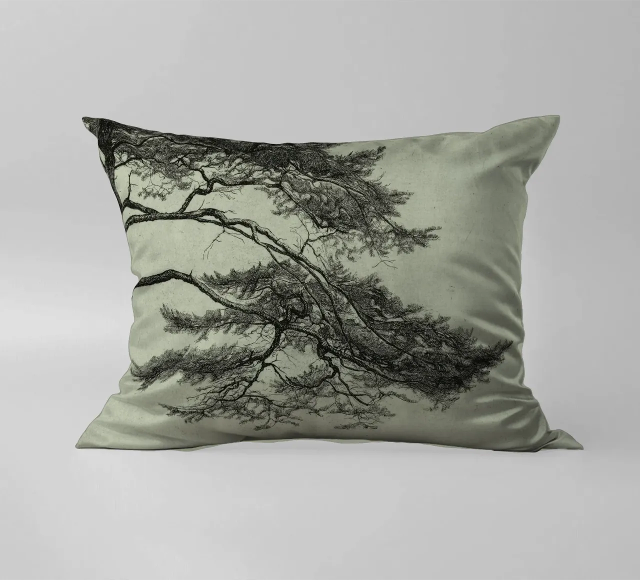 Sage Green Pine Tree Branch cuscino da apoloprints