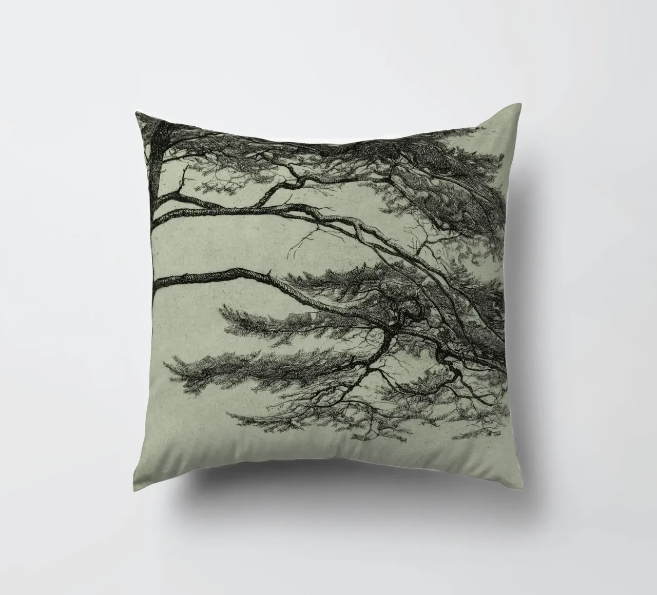 Sage Green Pine Tree Branch cuscino da apoloprints