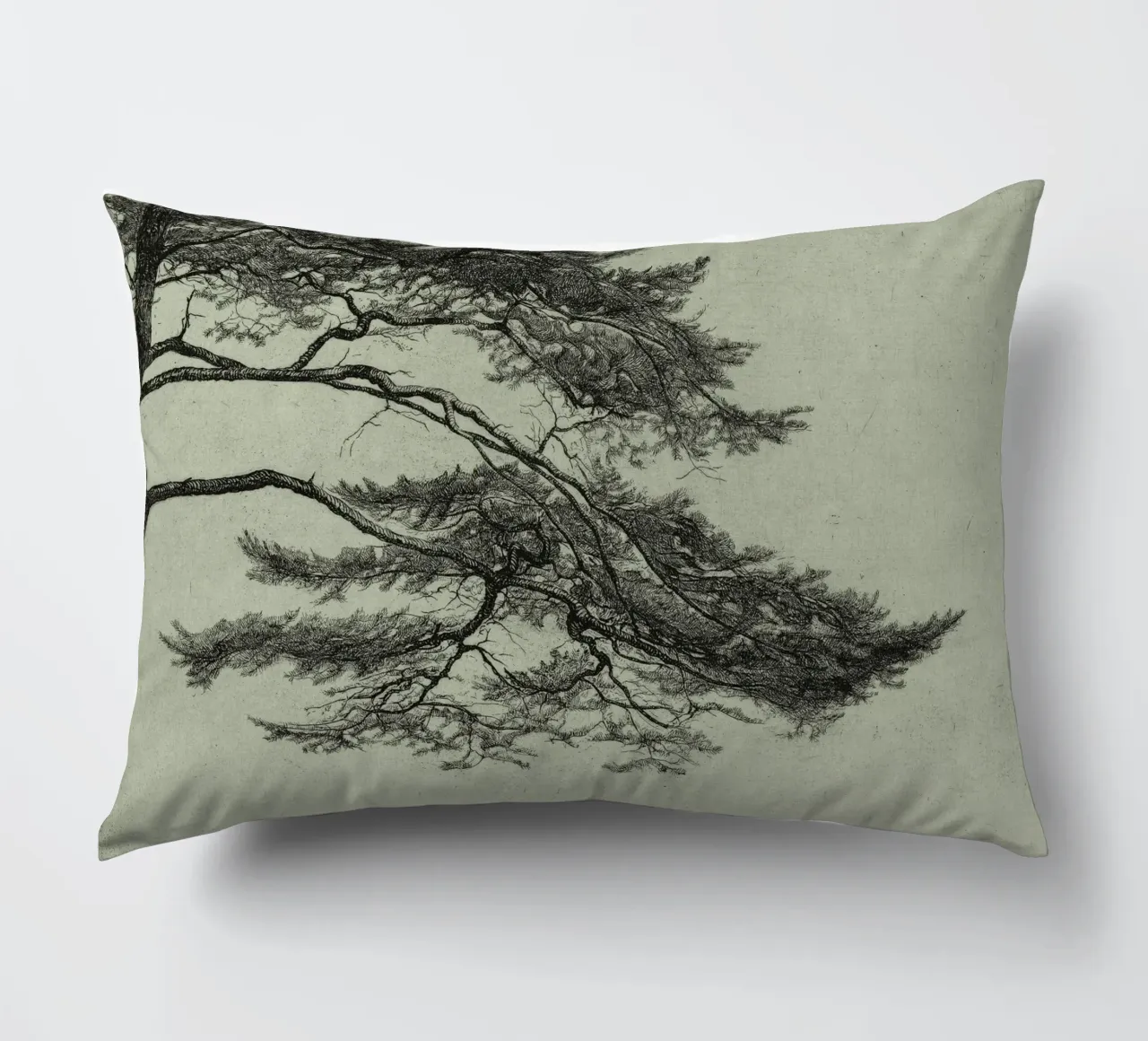 Sage Green Pine Tree Branch cuscino da apoloprints