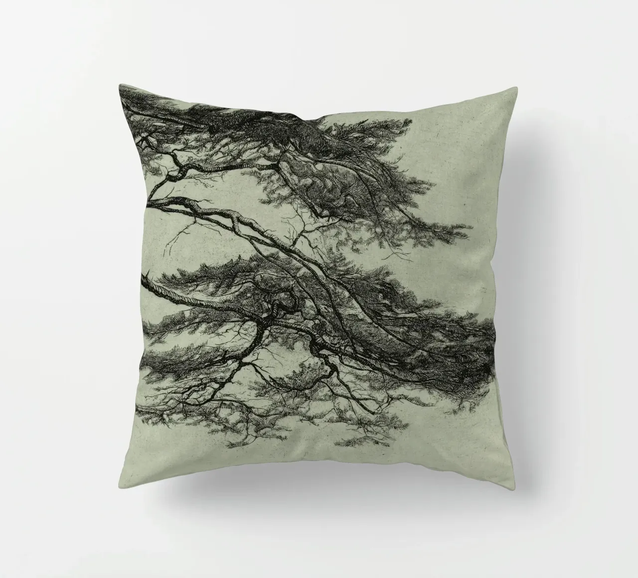 Sage Green Pine Tree Branch cuscino da apoloprints