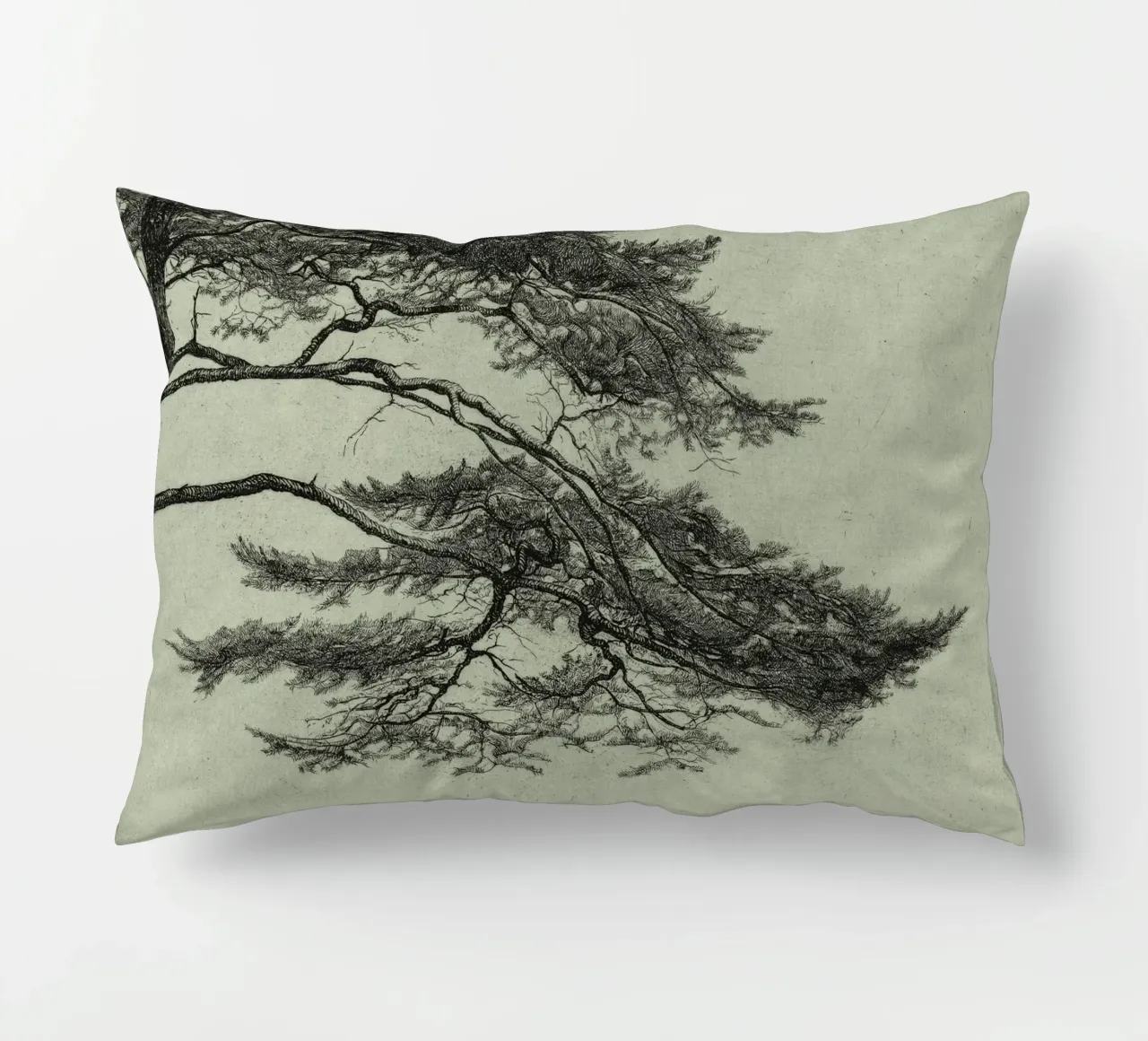 Sage Green Pine Tree Branch cuscino da apoloprints