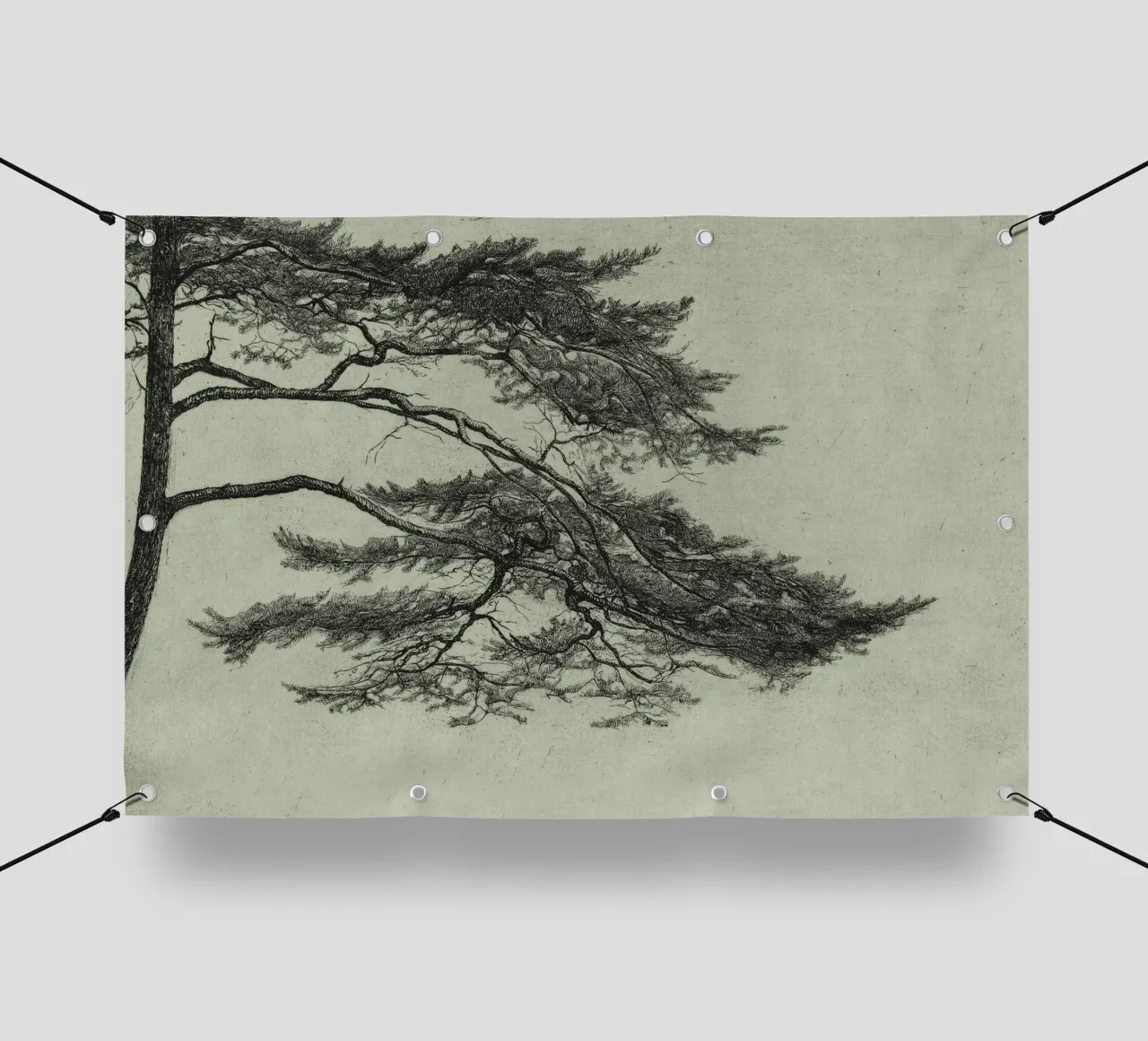 Sage Green Pine Tree Branch telo in pvc da apoloprints
