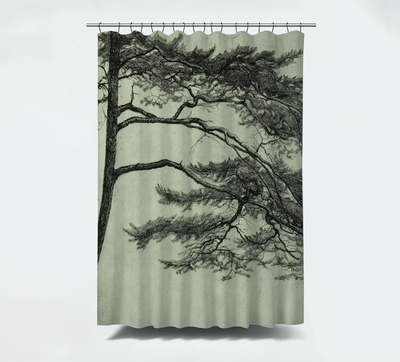 Sage Green Pine Tree Branch tenda da doccia da apoloprints