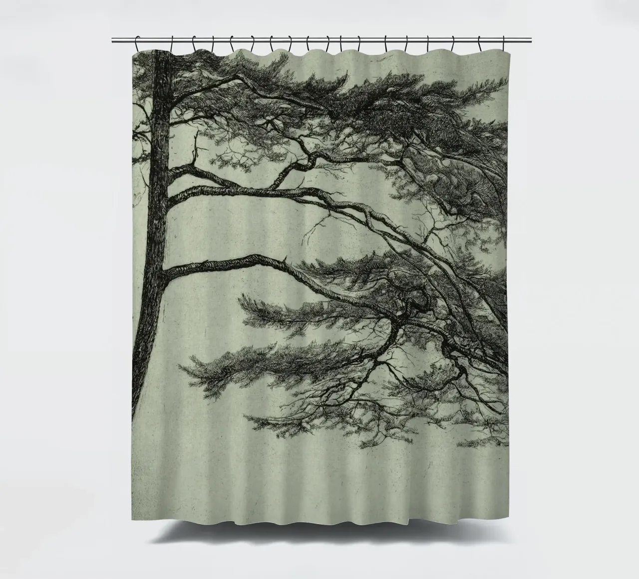 Sage Green Pine Tree Branch tenda da doccia da apoloprints