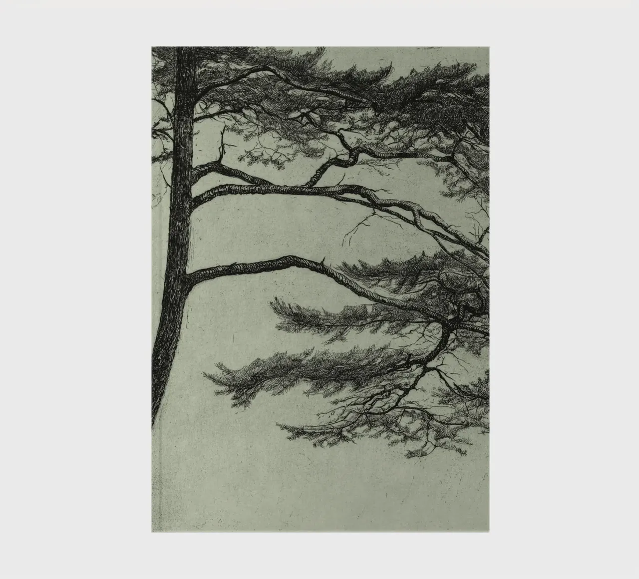 Sage Green Pine Tree Branch notebook by apoloprints